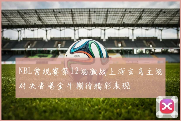 NBL常规赛第12场激战上海玄鸟主场对决香港金牛期待精彩表现