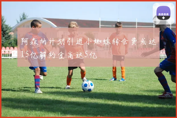 阿森纳计划引进小蜘蛛转会费或达15亿解约金高达5亿